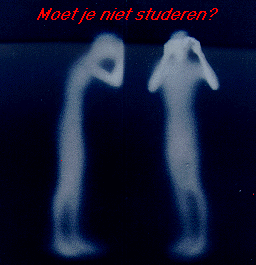 alles OK daar??